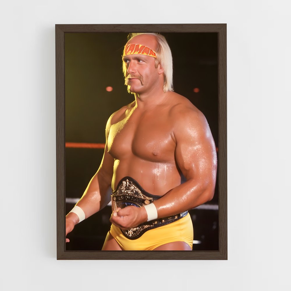 Poster Hulkamania en Action (vue 5)